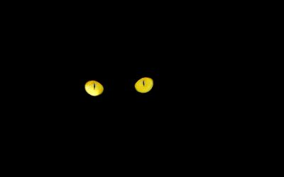 Ojos